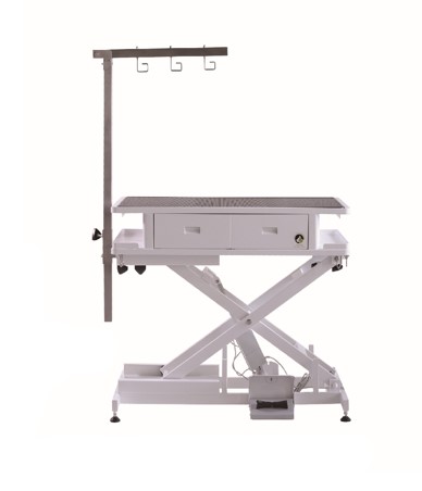Low Electric Lifting Table FT-808